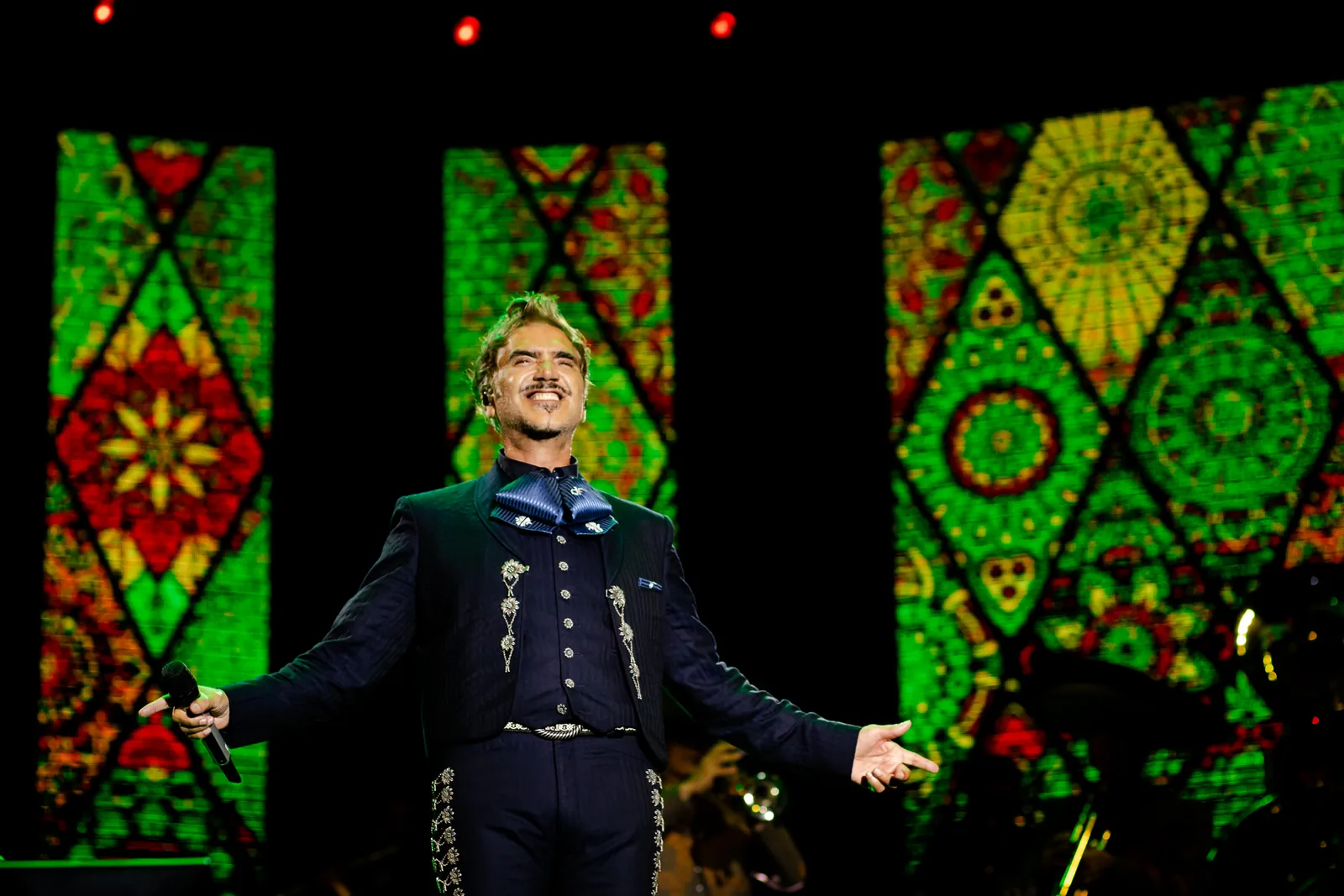 Concierto, cantante en escena