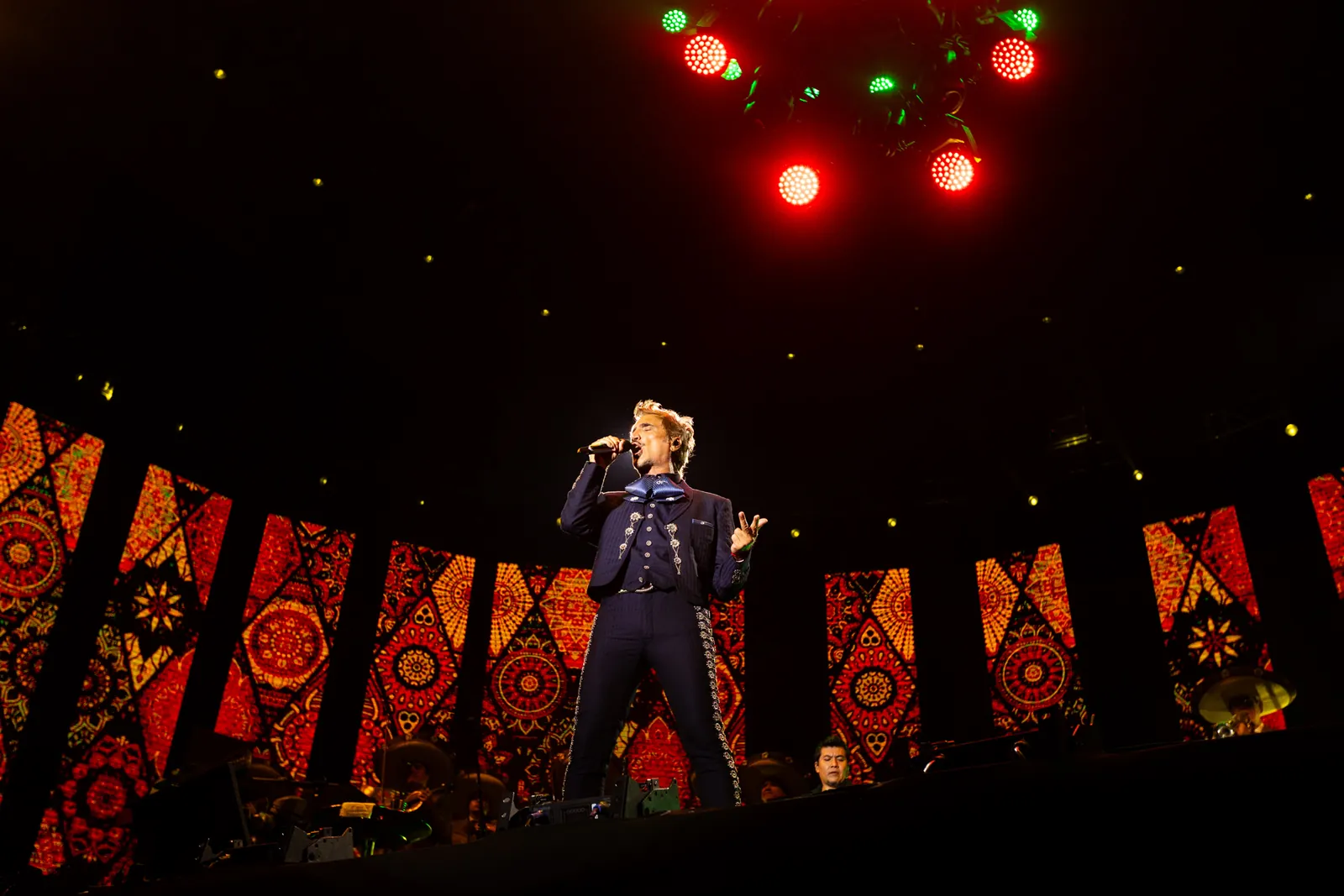Cantante en vivo