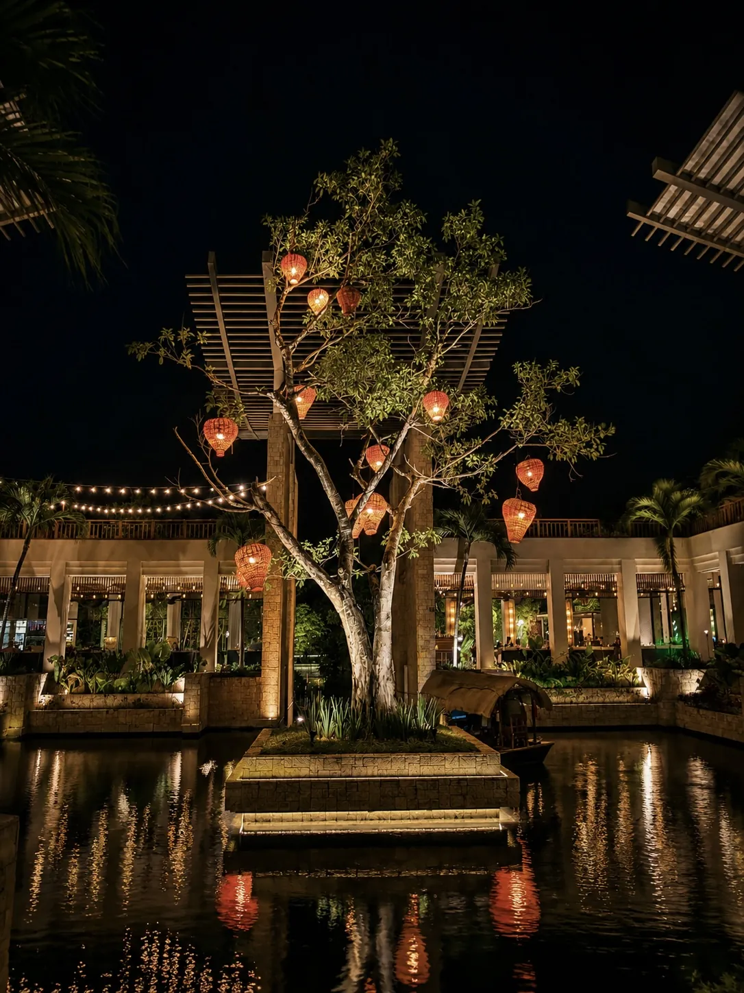 Árbol iluminado de noche, Fairmont
